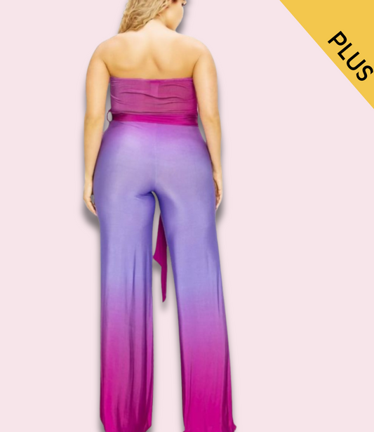 Gradient Plus Size Color Blocked Jumpsuit